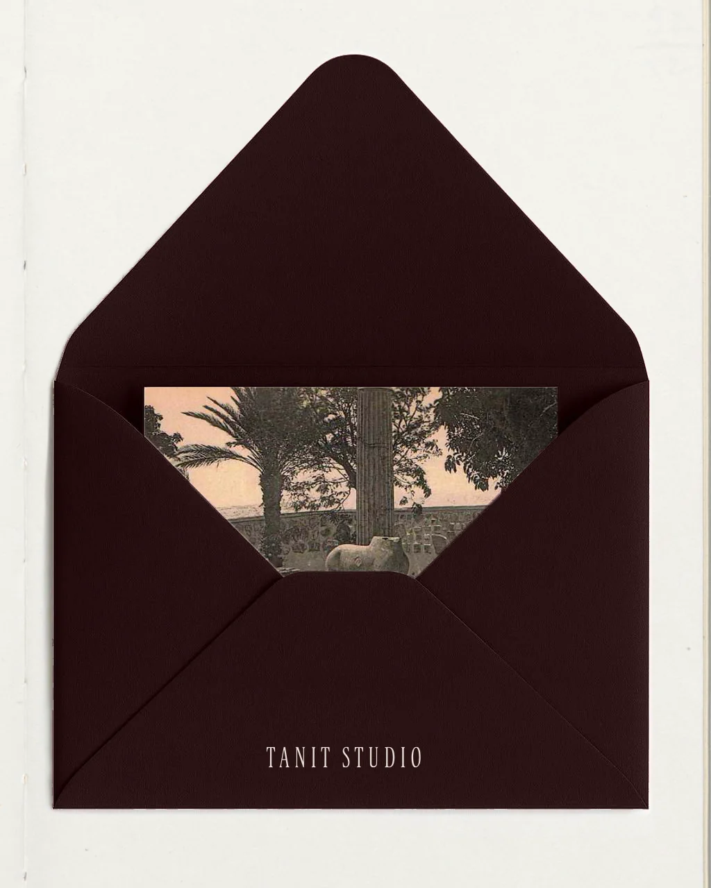 Tanit studio — 2