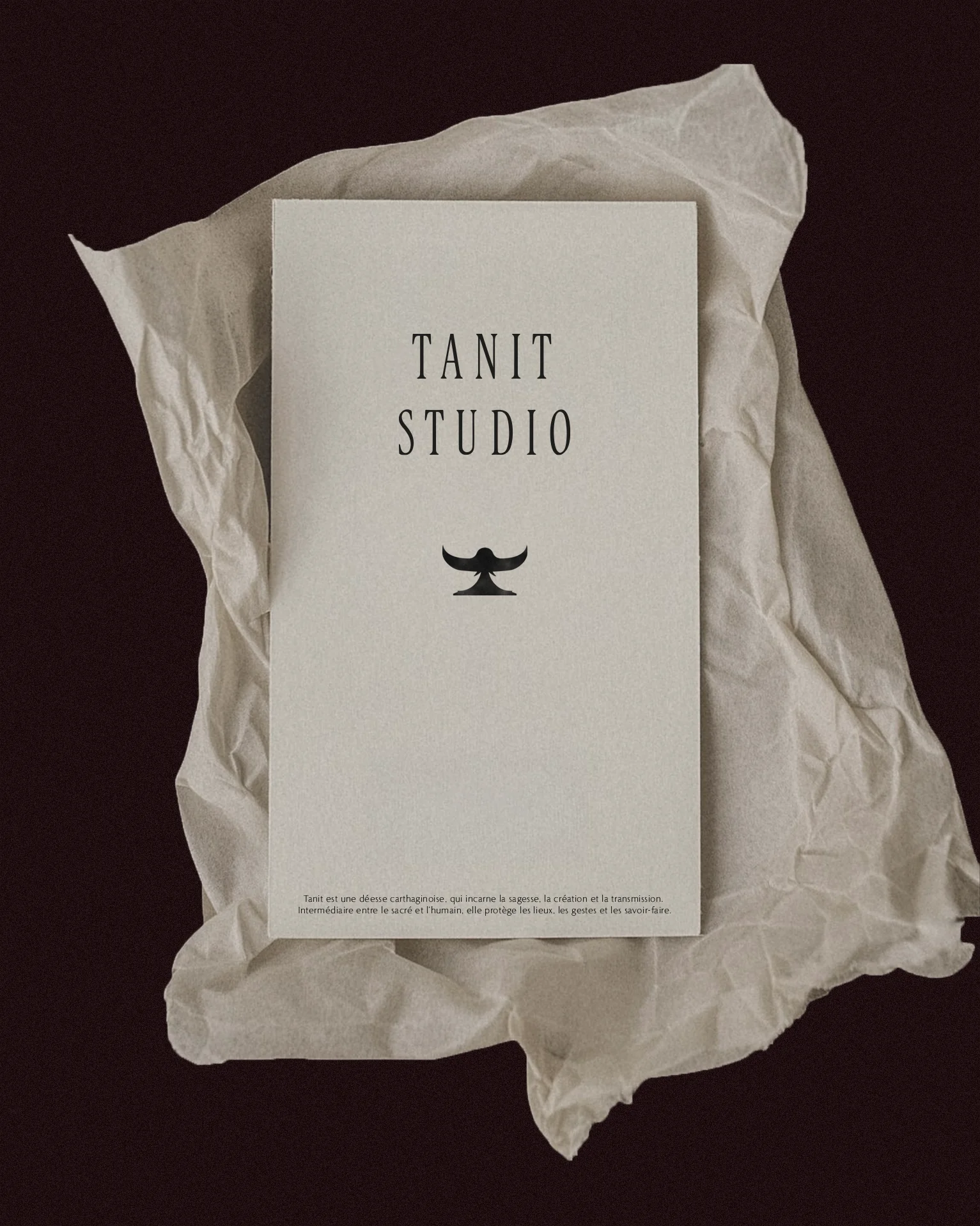 Tanit studio — 3